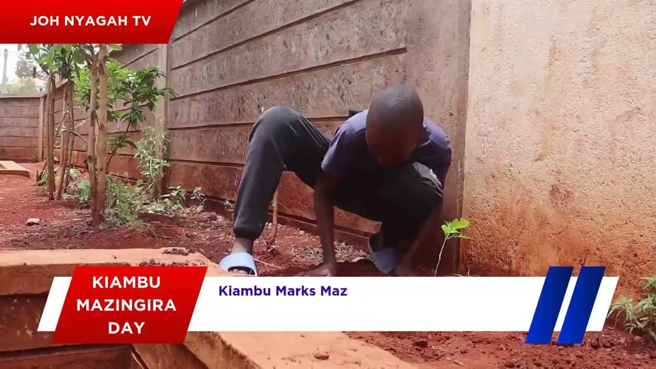 Kiambu Marks Mazingira Day By Planting Fruits Producing Trees
