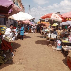 Kiambu NGCDF Hit with Adverse Audit Amid Fraud Claims