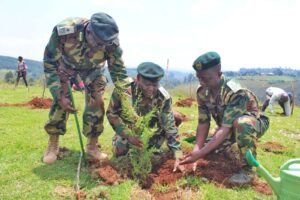 Kenya Forest Service Launches African Champions of Trees Awards