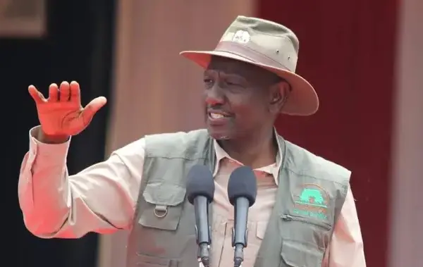 Forestry Society Welcomes President Ruto’s Decision to Lift Logging Ban