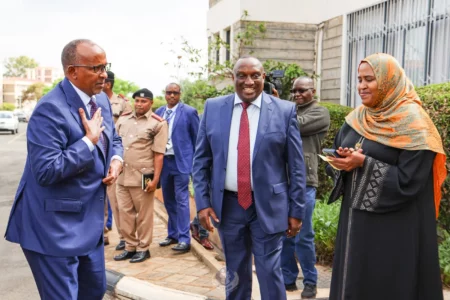 Government Orders Health Facilities to Conduct Infant, Maternal Deaths Audit