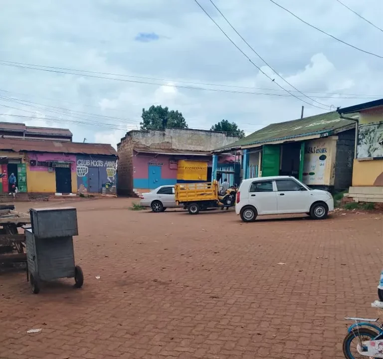 Riabai, Ndumberi Residents Alarmed by Surging Crime and Livestock Theft