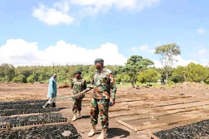 Kinale Forest Community Embraces State’s Tree Planting Initiative