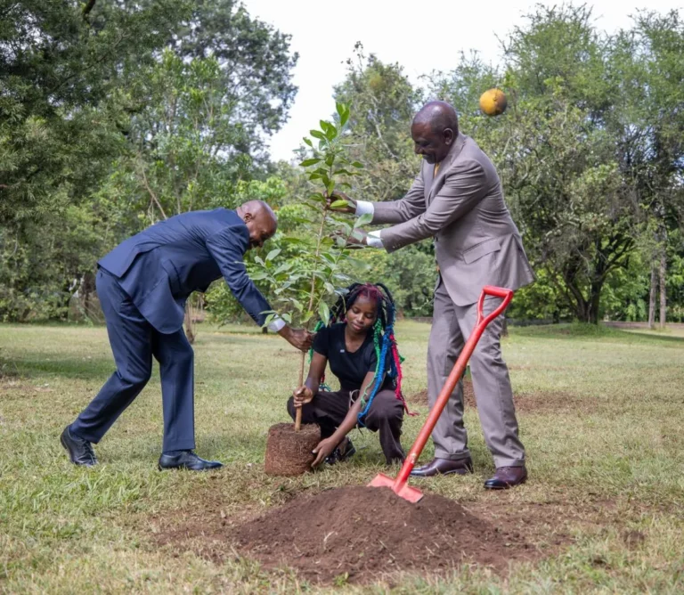 President Ruto Honors Activist Truphena Muthoni 72-Hour Tree-Hugging Marathon President Ruto, alongside environmental activist Truphena Muthoni, participates in a tree planting initiative during their meeting