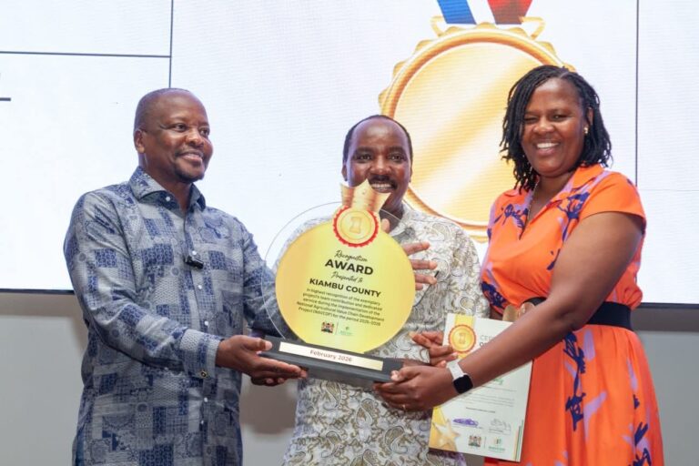 Kiambu County Tops National Rankings in Agricultural Value Chain Development