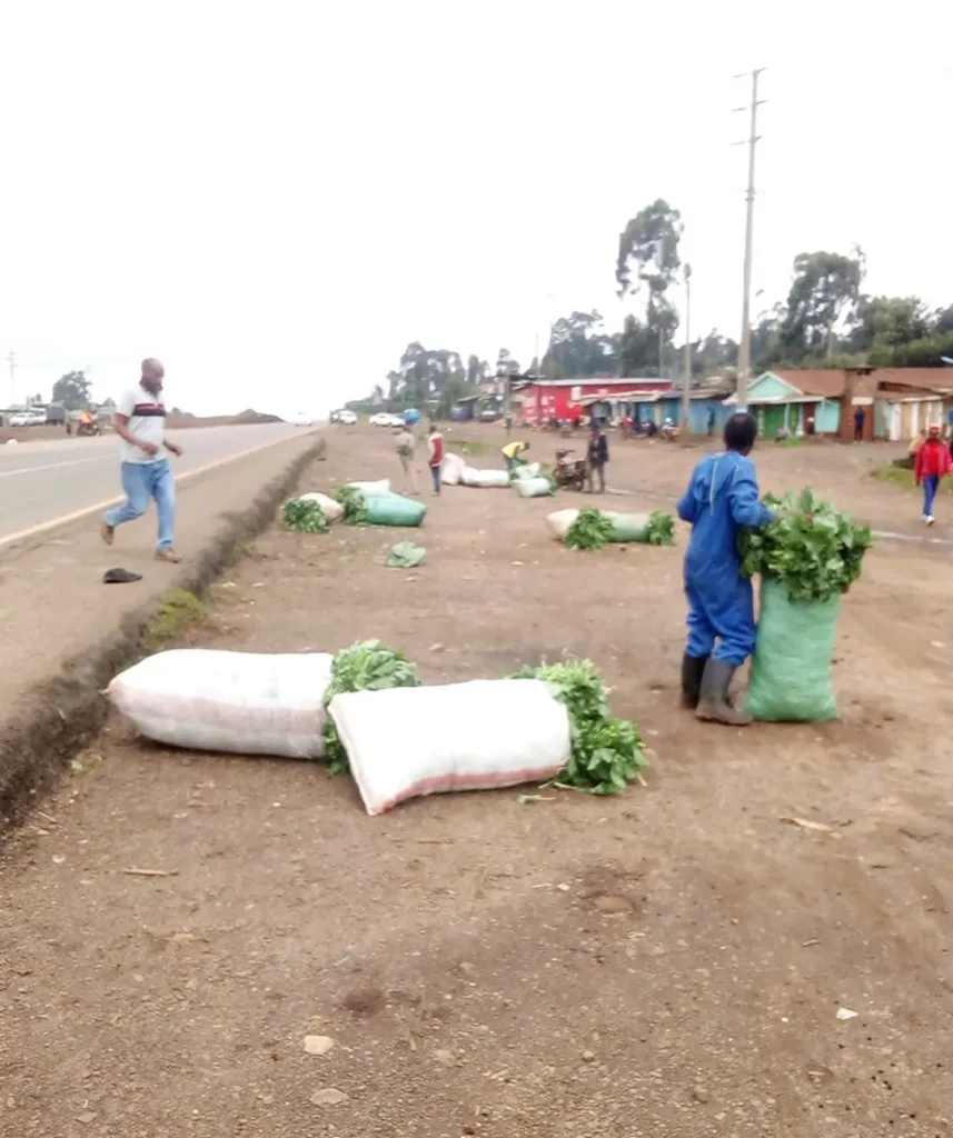 Fuel Strike Fallout: Kiambu Farmers Incur Heavy Losses as Transport Paralyzed
