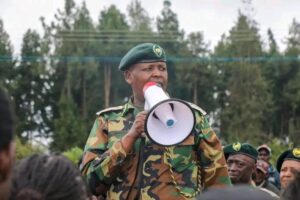 World Bee Day: KFS Urges Kenyans to Plant Indigenous Trees to Save Pollinators
