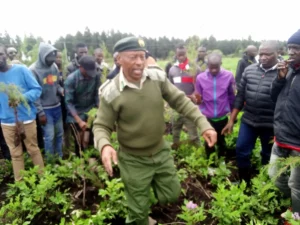 Kinale Forest Station Targets 14 Million Seedlings Annually to Support Ecosystem Restoration