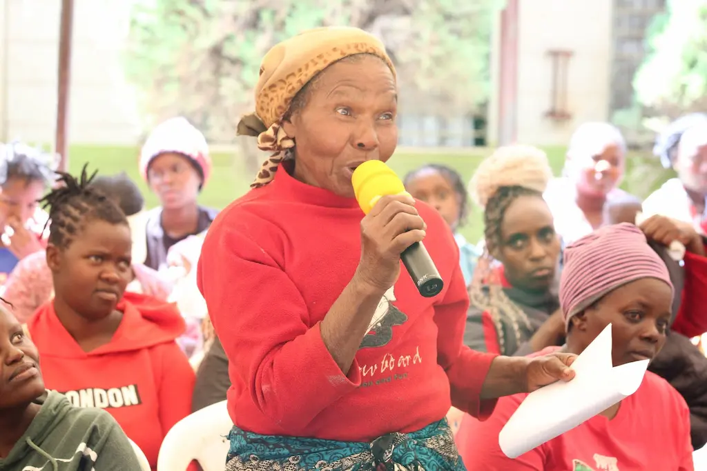 Kiambu Residents Prioritize Health, Roads and Water as County Advances KSh 26.17 Billion Budget