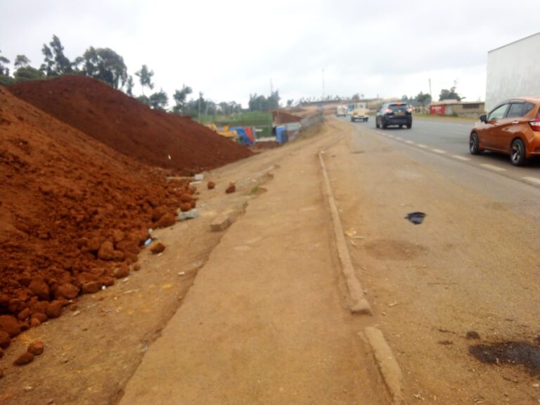Businesswoman Fatally Stabbed in Mystery Attack in Lari