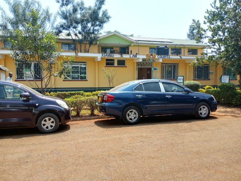 High Court Petition Challenges Arrest, Prosecution of Two Kikuyu Businesswomen