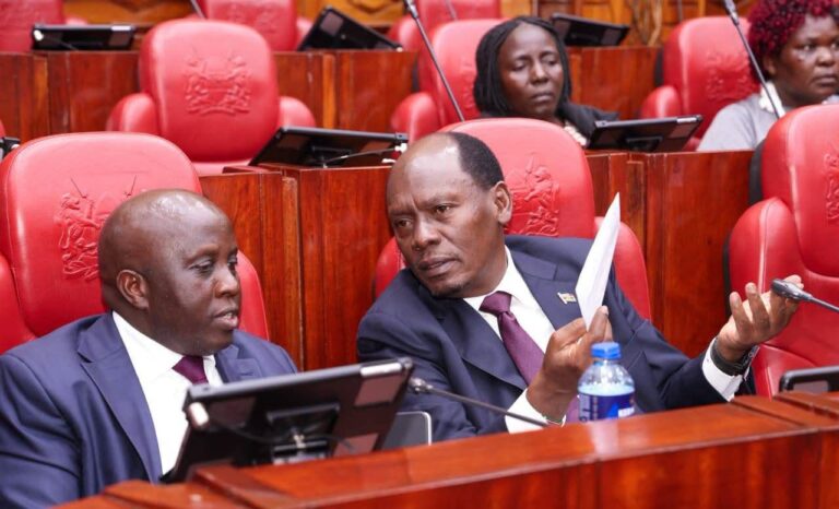 CS Kabogo Pushes Digital Overhaul of Kenya’s Libraries as Senate Reviews KNLS Bill