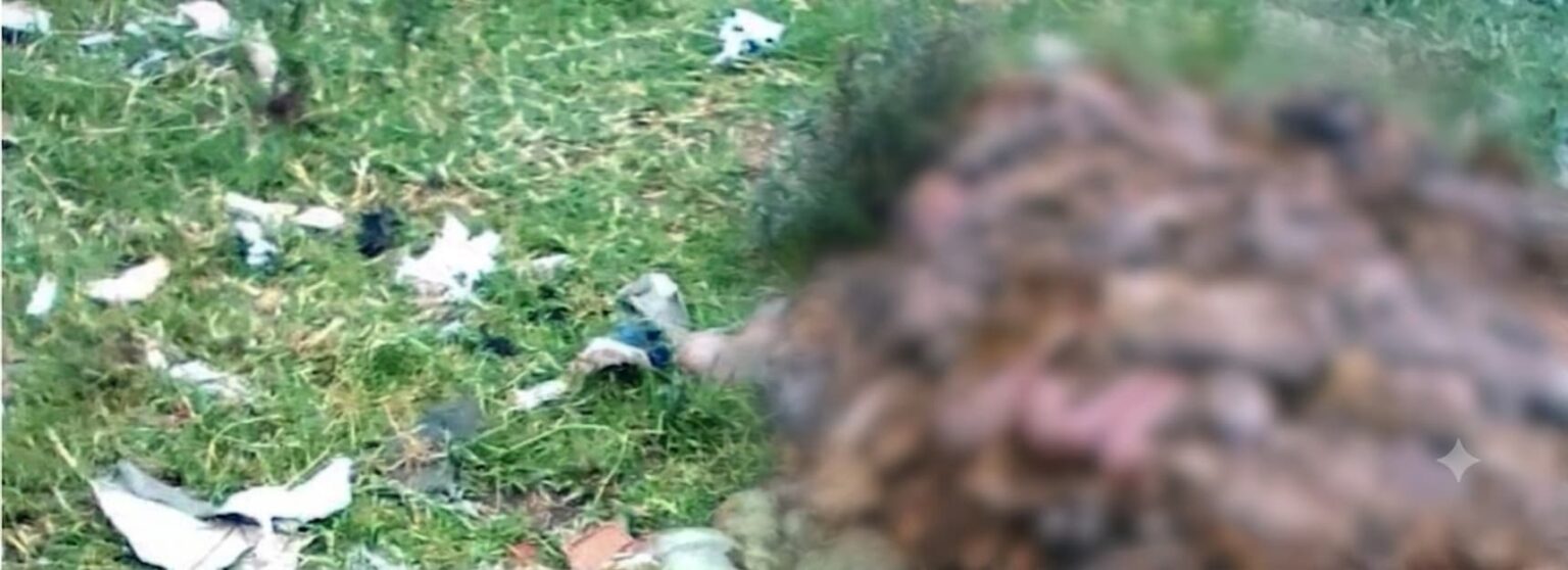 Residents Protest Over Dumping of Animal Carcasses in Juja Estate