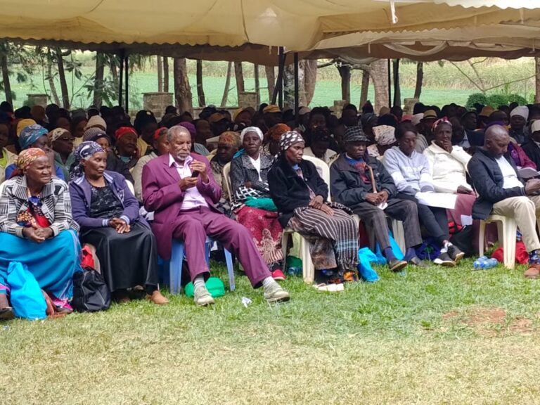 Feed Costs and Drought Strain Limuru Dairy Farmers as Co-op Boosts Milk Pay-Outs