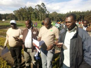 ”We Harvest Commercial Trees, Not Water Towers,” Say Timber Manufacturers
