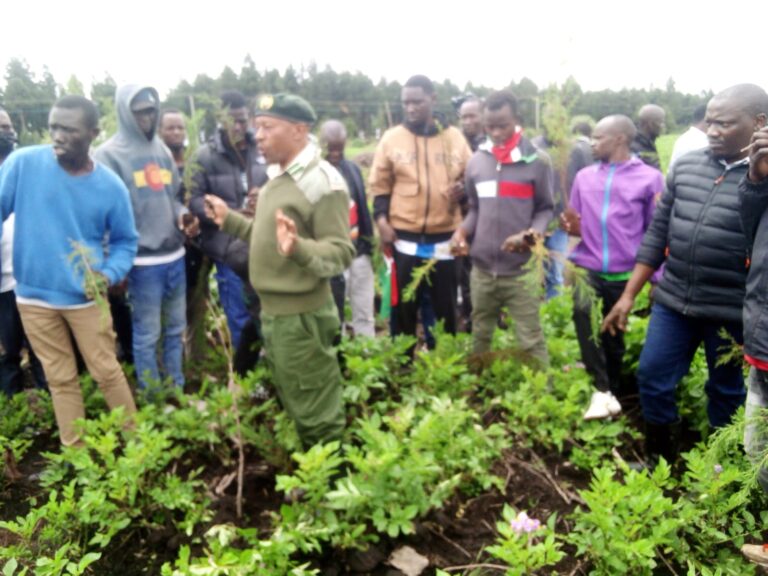 Stakeholders Clarify Difference Between Tree Harvesting and Illegal Logging