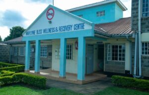 Tackling Kiambu’s Illicit Brew Crisis and the Role of Mary Anne Bliss Wellness Centre